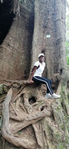 Nyamanduru
