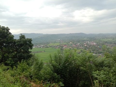 Lielis