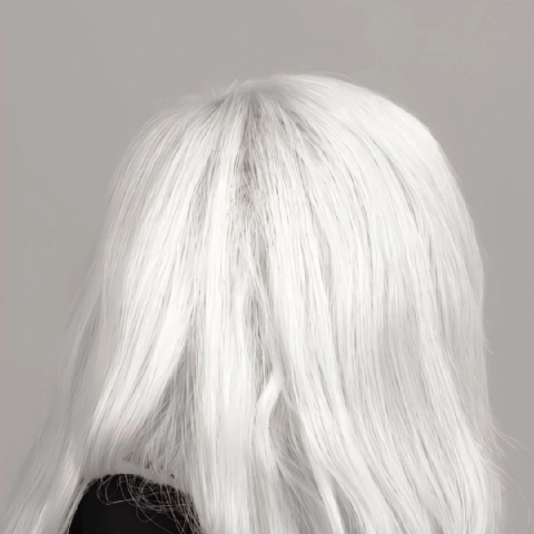 Lorenasari