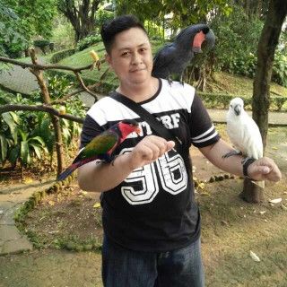 DonCarlo