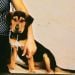 Eliora821 is Single in Worcester, Massachusetts