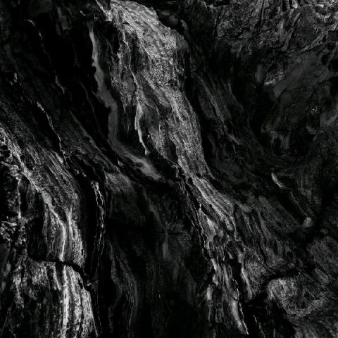 Lynnshee