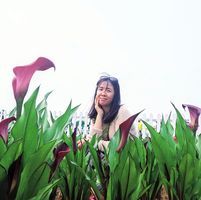 Vivilee