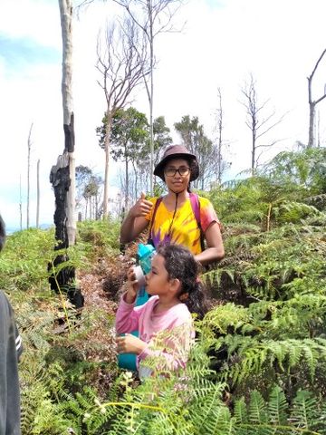 FlorensiaUba