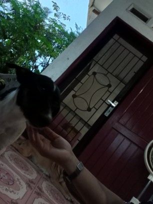xxxzxx