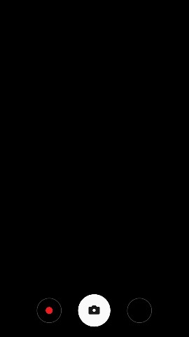 AliceAdrielle12