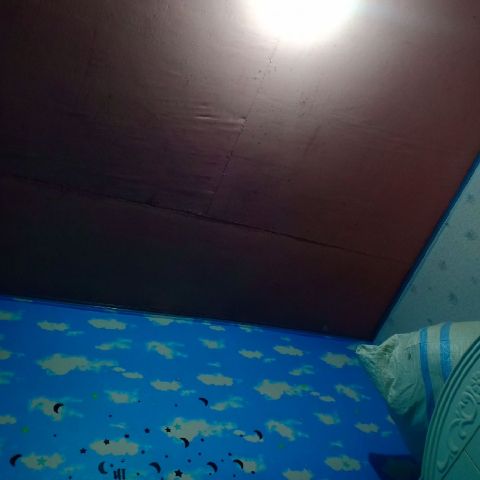 FebiHrj