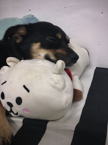 prettyjoyax