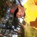 Sannymuro is Single in Chiredzi, Masvingo, 1