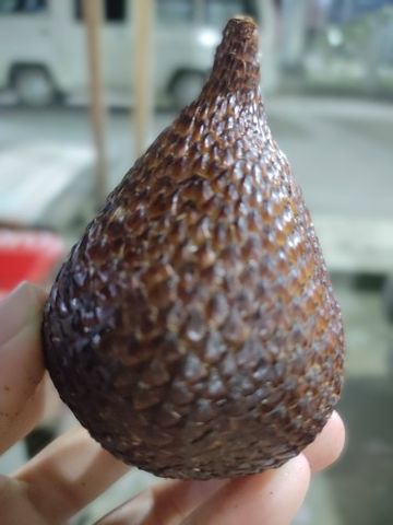 Raya123
