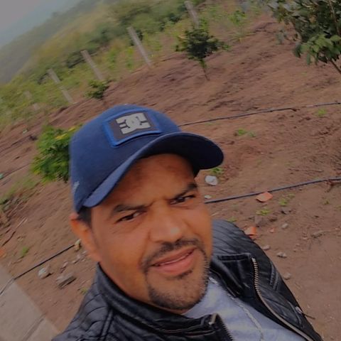 Tomalencar