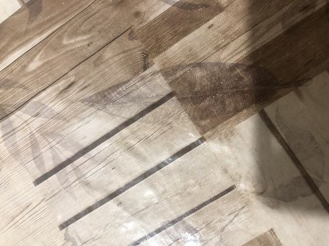 Vanessa574