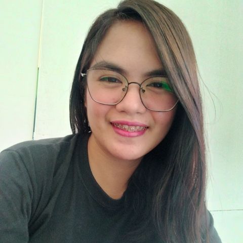 kamz_v