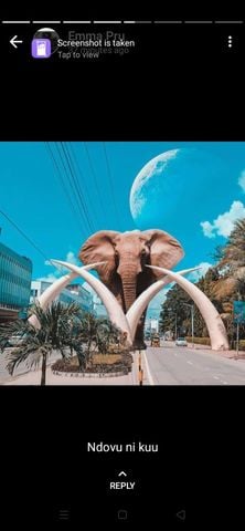 wanjanjuguna
