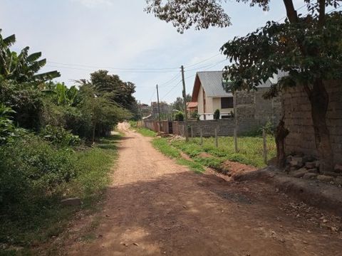 suehoneyasali