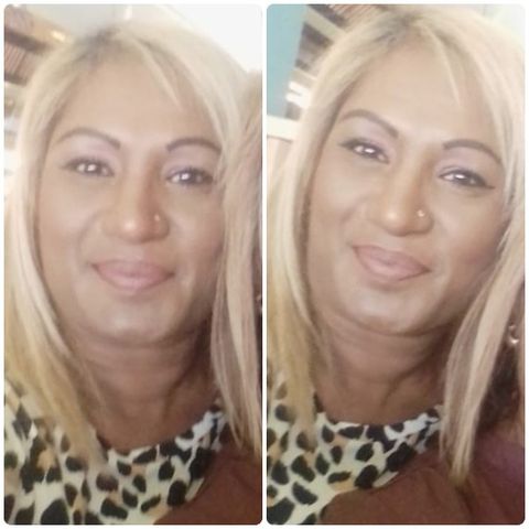 Pammydon