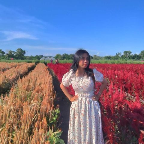 graciangelie