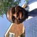 LovesWhispers88 is Single in Chicago, Illinois