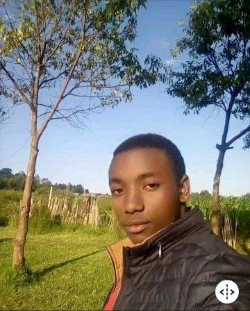 Kingstone22