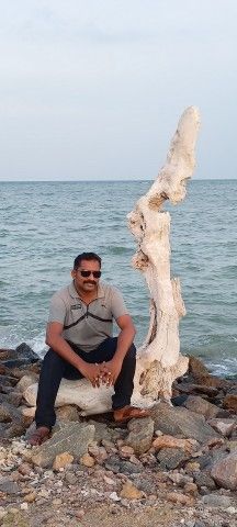 Kutty131981