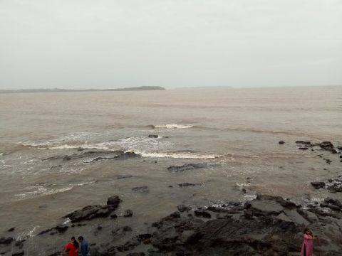 Dias26
