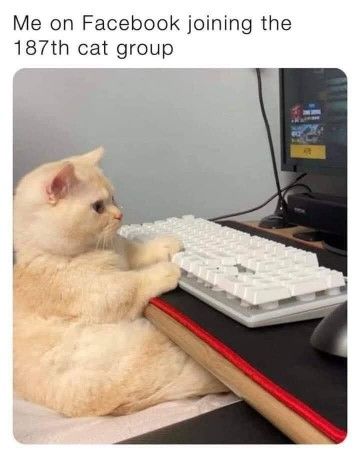 Whyhellothereitsme