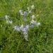 Hannah121415 is Single in Gimli, Manitoba