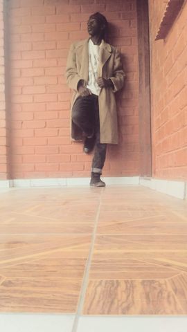 Dumisanidee