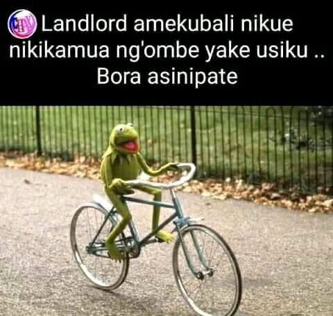 Bryte_KE