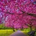 Jithzzz is Single in London, England, 1