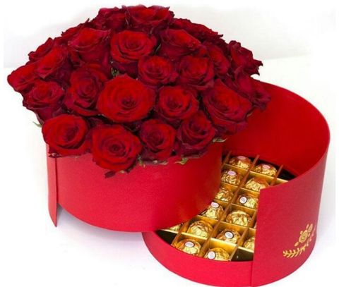 Anne8245
