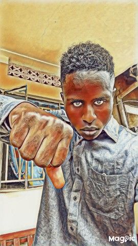 Timoruthlessjay