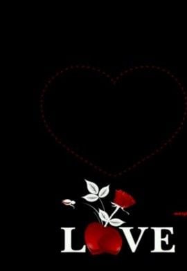 Shei254
