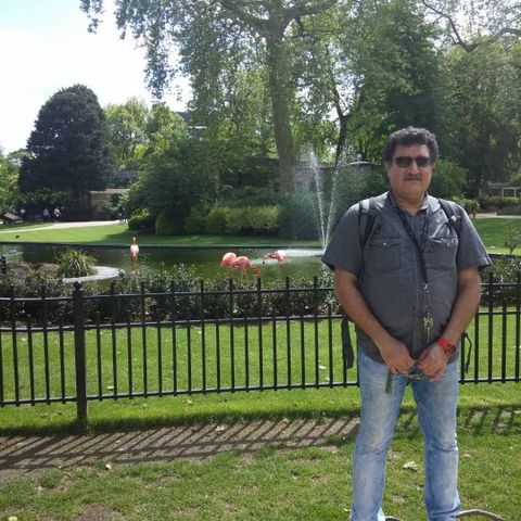Masoud1341