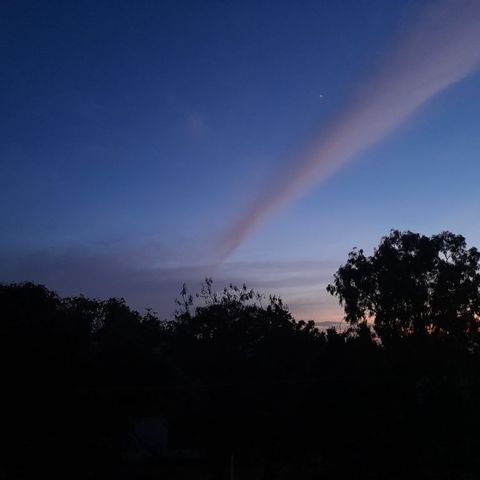 Sky1008