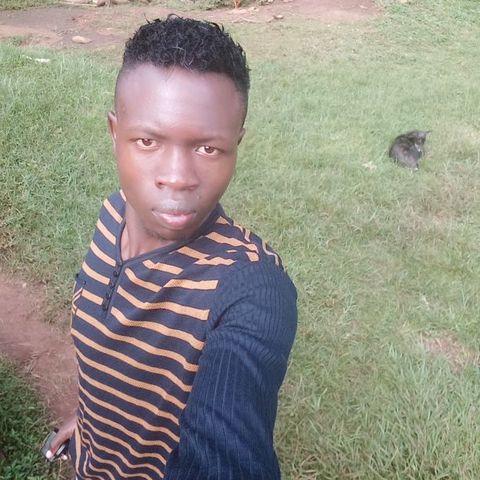 vinc115