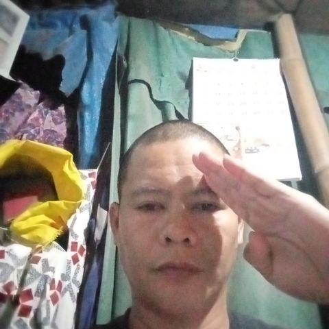 vibo96