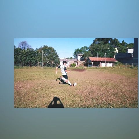 Alsn_rr