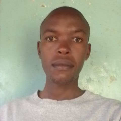 Hamp25