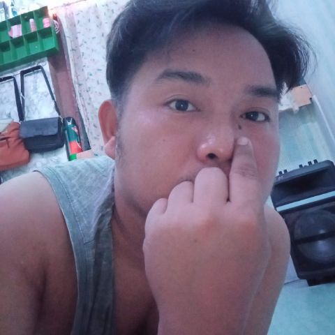 IRESh29