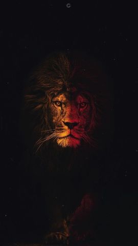 Zhavia08