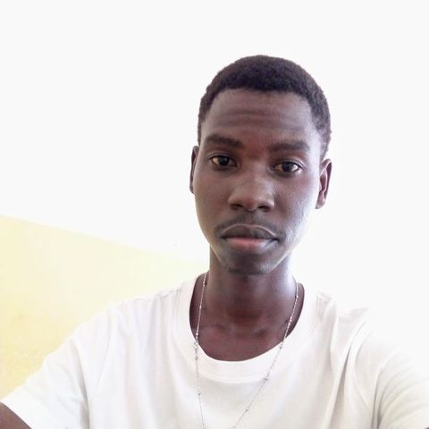 Vincent236