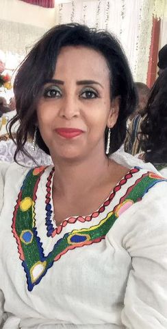 Fikirsahlu
