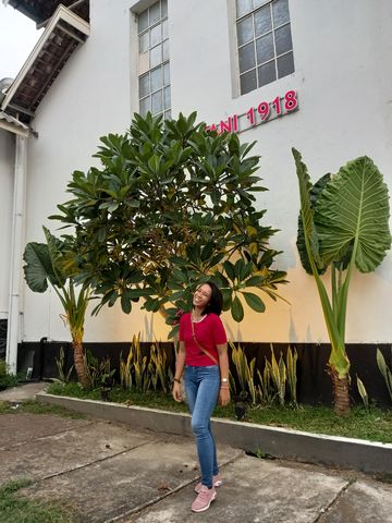 Lelisabunga