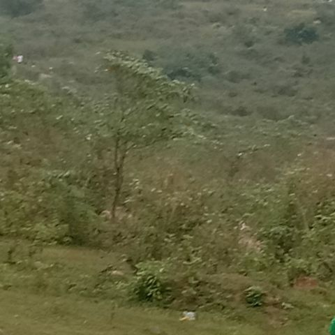 Lhyen