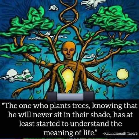 mario627 is Single in Cape Town, Western Cape, 5