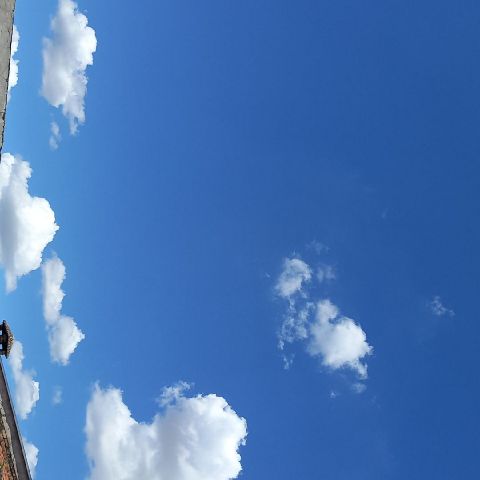 VaniaR