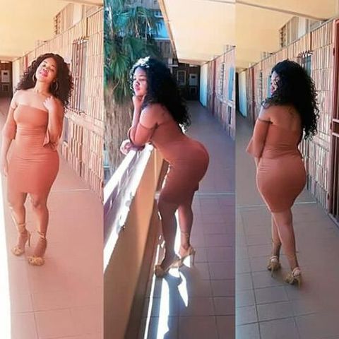 Mpho1000