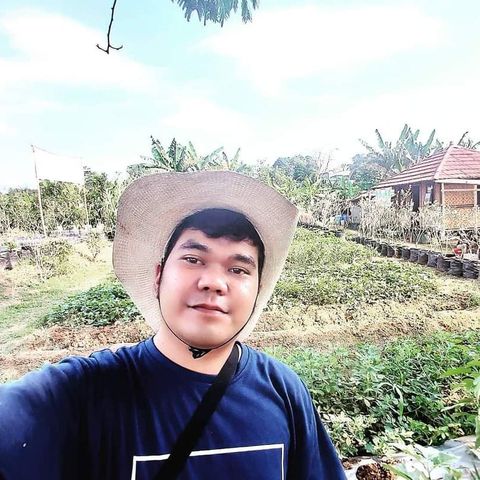 HiPAY