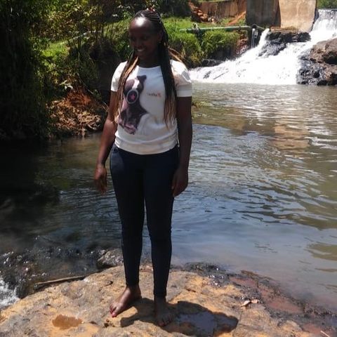 Paulinekenya